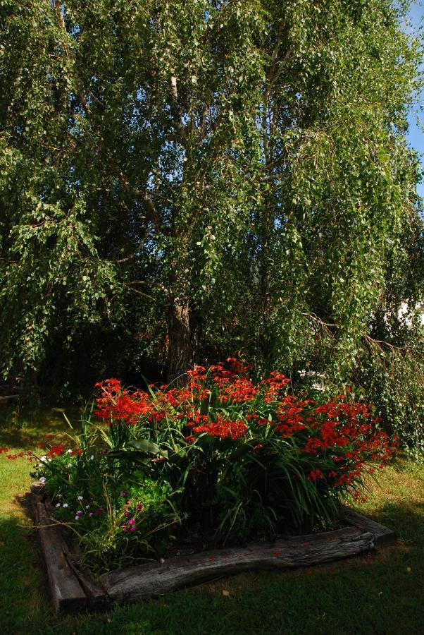 Castro Eco 10 Daire Castro Urdiales Dış mekan fotoğraf